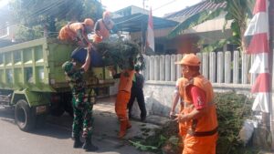 Cegah Pohon Tumbang Saat Masuk Musim Penghujan Babinsa Koramil 08/Johar Baru Bersama PPSU Laksanakan Penopingan Pohon