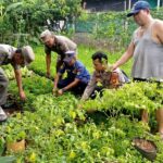 Bhabinkamtibmas Kota Bambu Selatan Cek Tanaman Pangan Warga, Perkuat Ketahanan Pangan Lokal