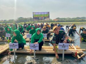 Dalam Rangka menyambut HUT ke 78 Arhanud TNI AD, Batalyon Arhanud 6/Bay Turut Berpartisipasi Penanaman Mangrove