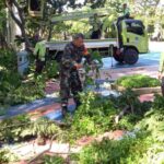 Babibsa Koramil 01/Menteng Dan Sudin Pertemanan Laksanakan Penopingan Pohon