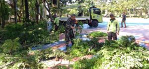 Babibsa Koramil 01/Menteng Dan Sudin Pertemanan Laksanakan Penopingan Pohon