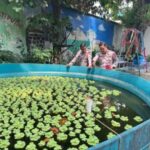 Panit Binmas, Anggota Binmas dan Kapolsubsektor Kayu Awet Polsek Johar Baru, Pengecekan Terkait Ketahanan Pangan