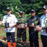 Manfaatkan Lahan Kosong, Babinsa Koramil Pulogadung Bersama Tiga Pilar Tanam Cabai