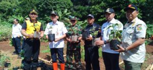 Manfaatkan Lahan Kosong, Babinsa Koramil Pulogadung Bersama Tiga Pilar Tanam Cabai