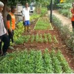 Polisi Penggerak Ketahanan Pangan Lakukan Pembinaan Kepada Kelompok Tani di Pulogadung