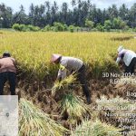 Dukung Asta Cita Presiden Prabowo, Bripka Agus Salim Bantu Petani di Lombok Timur