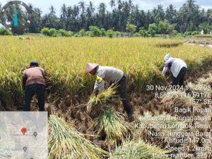 Dukung Asta Cita Presiden Prabowo, Bripka Agus Salim Bantu Petani di Lombok Timur