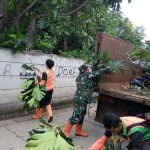 Toping Ranting Cegah Pohon Tumbang Oleh Koramil Kramatjati Giat Karya Bakti