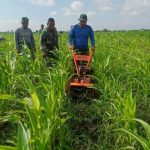 Aplikasikan Alat Pertanian Modern, Korem 051/Wkt Tingkatkan Efisiensi di Lahan Jagung Sukatani