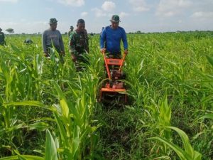 Aplikasikan Alat Pertanian Modern, Korem 051/Wkt Tingkatkan Efisiensi di Lahan Jagung Sukatani