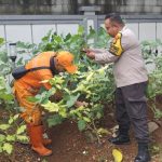 Pengecekan Lahan Ketahanan Pangan oleh Bhabinkamtibmas