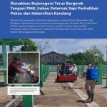 Disnakkan Bojonegoro Terus Bergerak Tangani PMK, Imbau Peternak Sapi Perhatikan Pakan dan Kebersihan Kandang