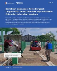 Disnakkan Bojonegoro Terus Bergerak Tangani PMK, Imbau Peternak Sapi Perhatikan Pakan dan Kebersihan Kandang