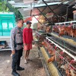 Bhabinkamtibmas Ciketingudik: Penggerak Ketahanan Pangan Melalui Dukungan Peternakan Lokal