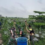 Keberhasilan Babinsa Pendamping di Lahan Urban Farming Korem 051/Wijayakarta