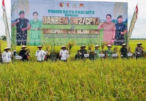 Danrem 082/CPYJ Panen Raya Padi bersama Kelompok Tani Mulyorejo