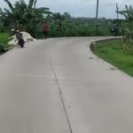 PU Bina Marga Lamongan Tuntaskan 61 Ruas Jalan Program Jamula Tahun 2024
