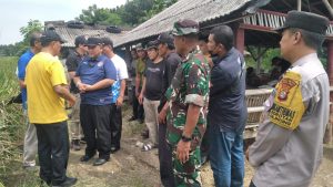 Kodim 0502 Jakarta Utara Dampingi Wakil Walikota Tinjau Irigasi Sawah Rorotan dan Serahkan Bantuan Petani