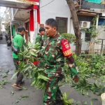Babinsa Koramil 06/Cempaka Putih Bersama Dinas Pertamanan dan Hutan Kota Laksanakan Penopingan dan Penanaman Pohon