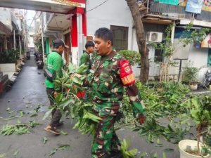 Babinsa Koramil 06/Cempaka Putih Bersama Dinas Pertamanan dan Hutan Kota Laksanakan Penopingan dan Penanaman Pohon