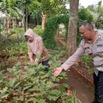 Program Ketahanan Pangan Bergizi di Kelurahan Pulogebang Dukung Ketahanan Kamtibmas