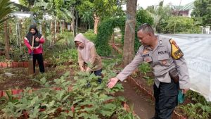 Program Ketahanan Pangan Bergizi di Kelurahan Pulogebang Dukung Ketahanan Kamtibmas