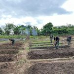 Yonif 141/AYJP Dukung Program Ketahanan Pangan dengan Urban Farming