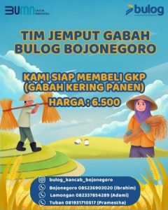 Perum Bulog Bojonegoro Jemput Bola Beli Gabah Langsung dari Petani, Besaran HPP Rp 6.500 Perkilogram