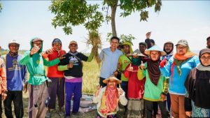 Bersama PT Pupuk Indonesia dan ID FOOD, Pemkab Bojonegoro Perkuat Ketersediaan Pupuk Bersubsidi Bagi Petani