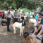 Unit Kamsel Satlantas Polres Kediri Kota Sosialisasi di Pasar Hewan