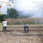 Bhabinkamtibmas Turun Langsung Bantu Membersihkan Lahan Jagung Milik Warga di Desa Jangga Toruan