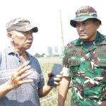 Dandim 0502/JU Tinjau Lahan Sawah Di Rorotan Untuk Dukung Ketahanan Pangan
