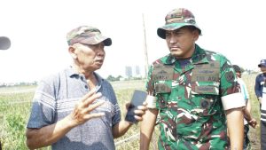 Dandim 0502/JU Tinjau Lahan Sawah Di Rorotan Untuk Dukung Ketahanan Pangan