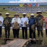 Kampung Kaliki Panen Perdana Padi Seluas 43 Hektar