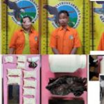 Polres Nganjuk Bongkar Jaringan Pengedar Okerbaya, Ribuan Butir Pil Koplo Disita