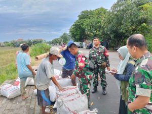 Babinsa Harapan Jaya Dampingi Panen Padi dan Penimbangan Gabah oleh BULOG Karawang