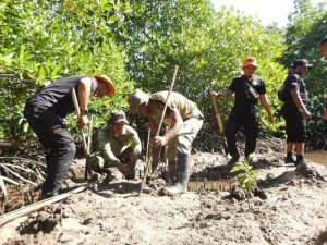 Penanaman Mangrove Kodim 1510/Sula: Langkah Konkret Menjaga Ekosistem Pantai dalam rangkaian Program TMMD Ke-123
