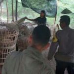 Polres Nganjuk Tindak Lanjut Dugaan Sabung Ayam di Bagor
