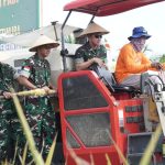 Dukung Ketahanan Pangan Nasional, Pangdam XV/Pattimura Ikut Panen Padi di Pulau Buru