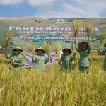 Panen Raya Padi Bersama TNI AD, Pangdam IX/Udayana : Langkah Menuju Kesejahteraan Petani