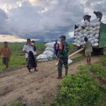 Babinsa Koramil 1316-02/Paguyaman Laksanakan Pendampingan dan Pengawalan Penjualan Gabah Kering dan Padi