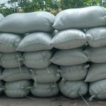 Pembelian Bulog Belum Maksimal, Petani di Lamongan Mengeluh Karena Harga Gabah Anjlok
