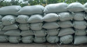 Pembelian Bulog Belum Maksimal, Petani di Lamongan Mengeluh Karena Harga Gabah Anjlok