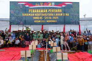 Resmi Tutup TMMD ke-123 di Morowali, Kasad: TNI Hadir untuk Pembangunan dan Kesejahteraan Rakyat