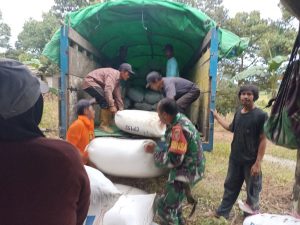Kunjungi Langsung Ke Lumbung Padi Petani, Bulog dan Babinsa Siap Sergab (Serap Gabah)