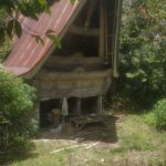 Rumah Batak Berumur 100 Tahun di Kabupaten Toba Masih Ada di Desa Sionggang Kecamatan Lumbanjulu