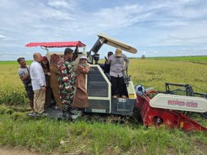 Babinsa Jajaran Kodim 1015/Sampit Laksanakan Sergab Petani Di Wilayah