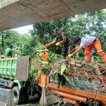 Babinsa Koramil 02/Sawah Besar Bersama PPSU Laksanakan Kerja Bakti Pembersihan dan Penopingan Pohon