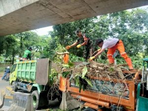 Babinsa Koramil 02/Sawah Besar Bersama PPSU Laksanakan Kerja Bakti Pembersihan dan Penopingan Pohon