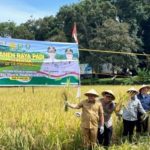 Kapolres OKU Ikut Giat Panen Raya Padi Serentak 14 Provinsi Se Indonesia